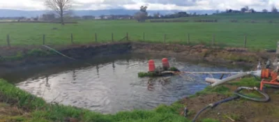 After Treatment by Effluex